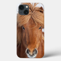 Portrait islandais Brown de cheval