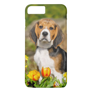 Coque iPhone 7 Plus Portrait mignon de chiot tricolore de beagle,