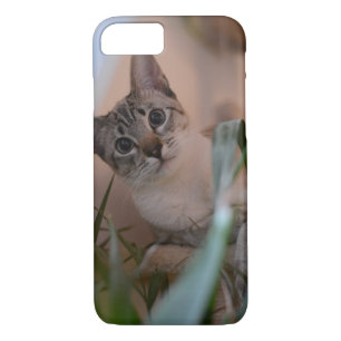 Coque Case-Mate Pour iPhone Portrait mignon de photo de chat