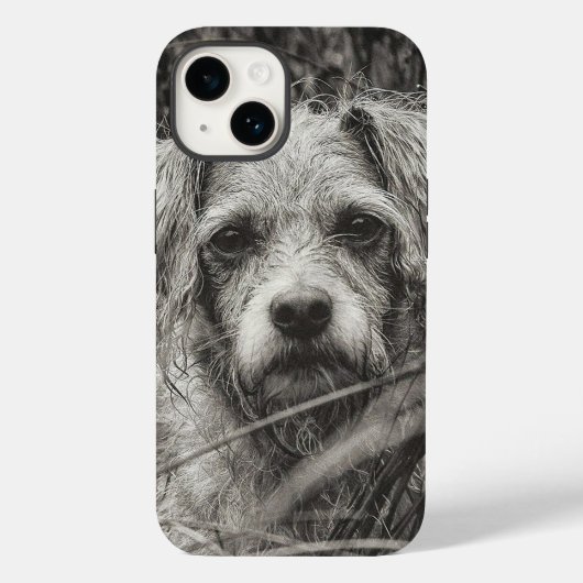 Coques Case-Mate iPhone Portrait noir et blanc mignon et chiot photo (Verso)