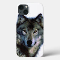 Portrait Wolf