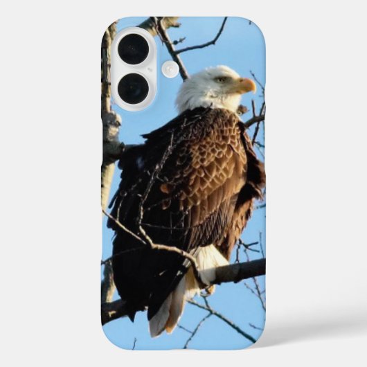 Coques Case-Mate iPhone Pose d'aigle à tête blanche (Verso)