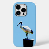 Coques Case-Mate iPhone Poulet À Bin, Peinture À Huile Ibis, (Verso)