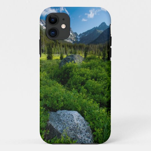 Coques Case-Mate iPhone Prairie et mont Stuart (Dos)