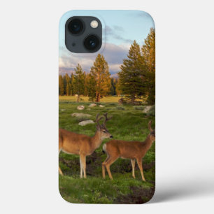 Coques Pour iPhone Pré de Tuolumne, Yosemite