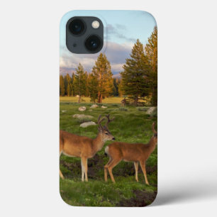 Etui iPhone Case-Mate Pré de Tuolumne, Yosemite