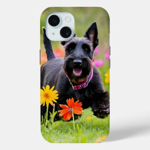 Coque Pour iPhone 15 Prêter des Terriers écossais dans l'herbe et les f