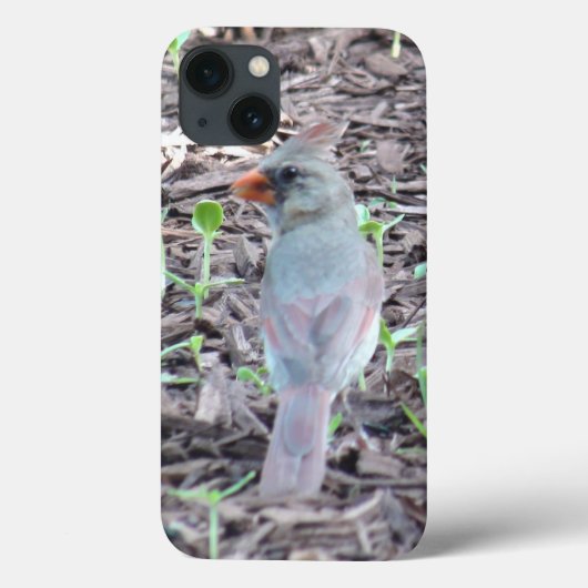 Coques Case-Mate iPhone Pretty Female Cardinal Cell Phone Case (Verso)