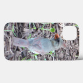Coques Case-Mate iPhone Pretty Female Cardinal Cell Phone Case (Verso (horizontal))
