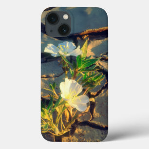 iPhone 13 Coque Primevère des dunes poussant hors de boue fissurée