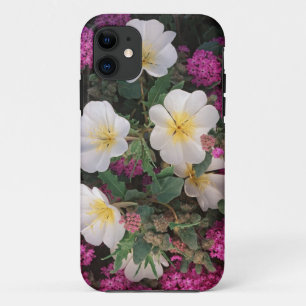 Coques Pour iPhone Primevère du désert du soir et Verveine des sables