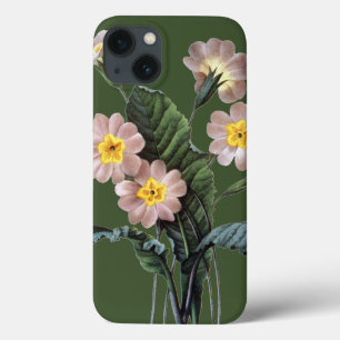 Case-Mate iPhone Case Primrose (Primula Aucalis)