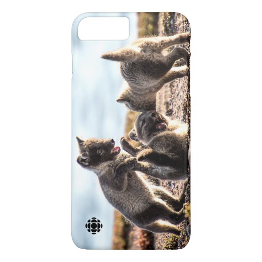 Coques Case-Mate iPhone Printemps - Renard arctique (Dos)