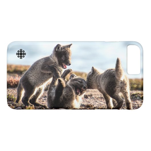 Coques Case-Mate iPhone Printemps - Renard arctique (Dos (Horizontal))