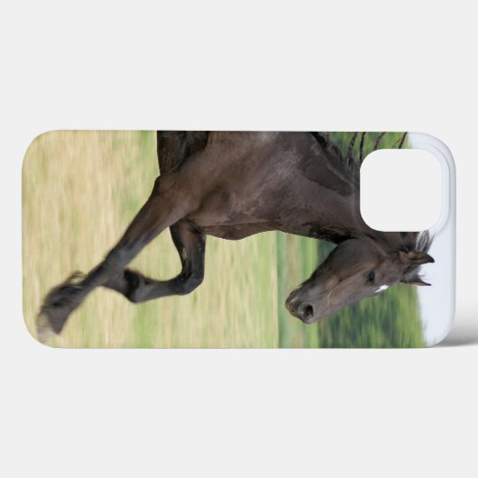 Coques Case-Mate iPhone Produit (Verso (horizontal))