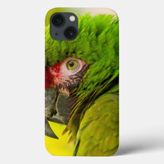 Coques Case-Mate iPhone Profil d'ara au zoo de Santa Barbara (Verso)