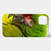 Coques Case-Mate iPhone Profil d'ara au zoo de Santa Barbara (Verso (horizontal))