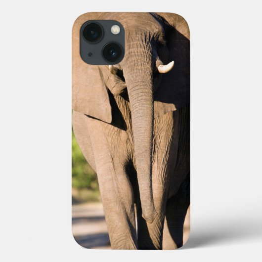 Coques Case-Mate iPhone Promenades d'un éléphant africain (Loxodonta (Verso)