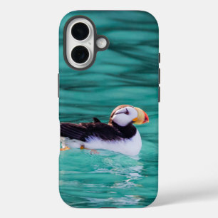 Coques iPhone 16 Puffin Dans La Baie De Résurrection, Alaska