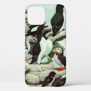 Case-Mate iPhone Case Puffins vintages et oiseaux aquatiques de Louis Fu