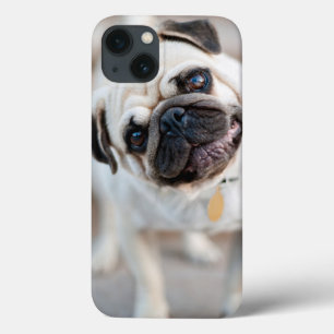 Case-Mate iPhone Case Pug Head Tilt