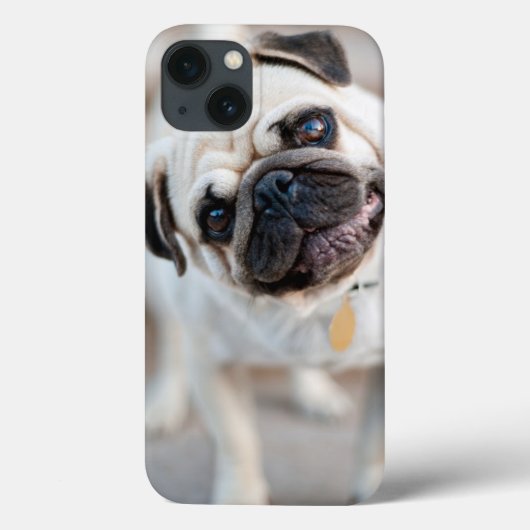 Coques Case-Mate iPhone Pug Head Tilt (Verso)
