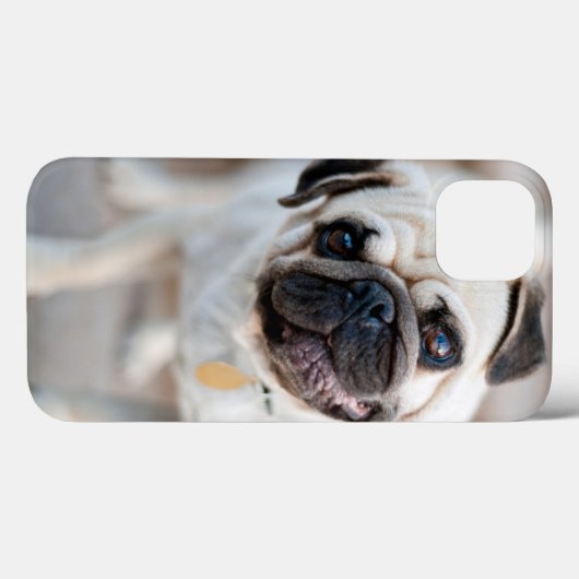 Coques Case-Mate iPhone Pug Head Tilt (Verso (horizontal))
