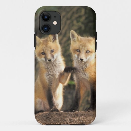 Coques Case-Mate iPhone Pup Red Fox devant den Vulpes vulpes) (Dos)
