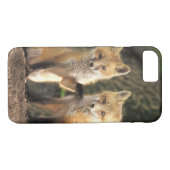 Coques Case-Mate iPhone Pup Red Fox devant den Vulpes vulpes) (Dos (Horizontal))