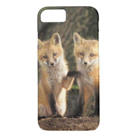 Coques Case-Mate iPhone Pup Red Fox devant den Vulpes vulpes) (Dos)