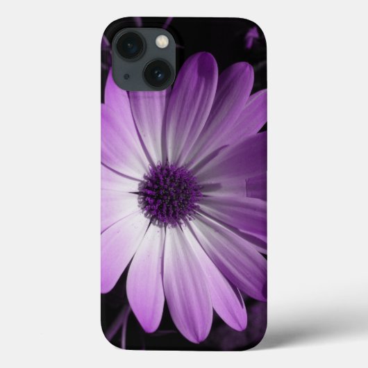 Coques Case-Mate iPhone Puple Daisy Flower iPhone Case (Verso)