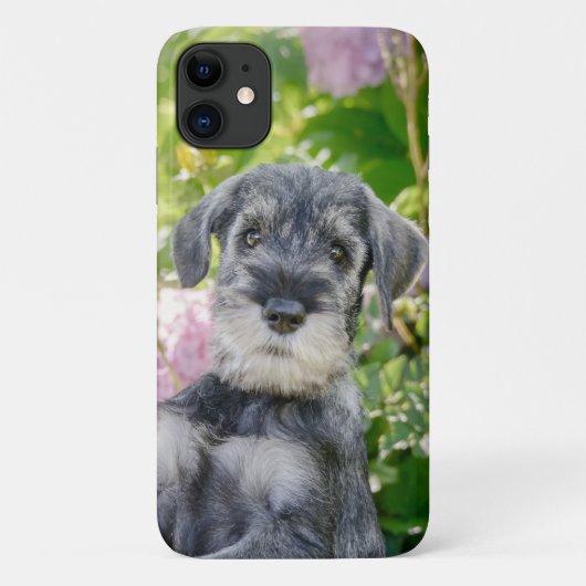 Coques Case-Mate iPhone Puppy de Schnauzer dans un Flowering Garden - (Dos)