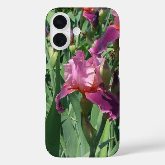 Coques Case-Mate iPhone Purple Irises Printemps Floral (Verso)
