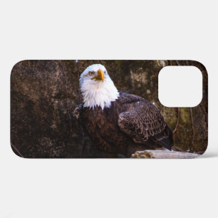 Case-Mate iPhone Case Pygargue à tête blanche