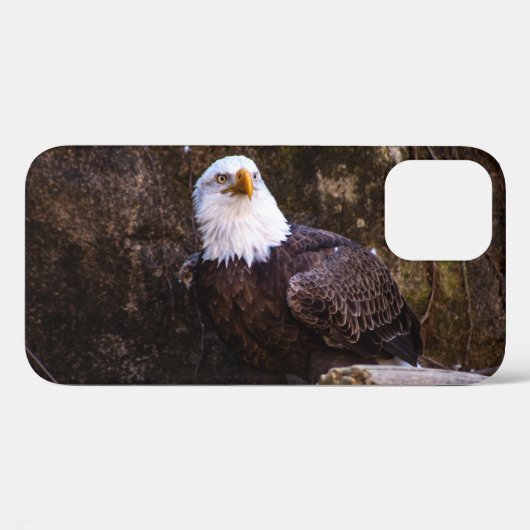 Coques Case-Mate iPhone Pygargue à tête blanche (Verso (horizontal))