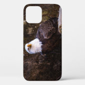 Coques Case-Mate iPhone Pygargue à tête blanche (Verso)