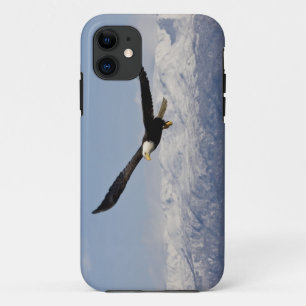 Coque iPhone 11 Pygargue à tête blanche en vol, Haliaeetus leucoce