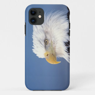 Case-Mate iPhone Case pygargue à tête blanche, Haliaeetus leuccocephalus