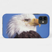 Coques Case-Mate iPhone pygargue à tête blanche, Haliaeetus leucocephalus, (Dos (Horizontal))