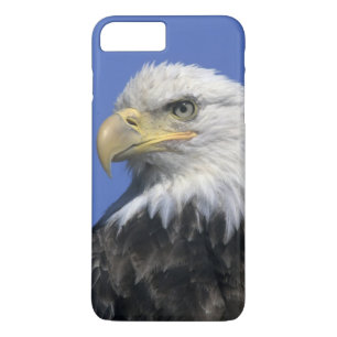 Coques Pour iPhone Pygargue à tête blanche, (Haliaeetus leucocephalus