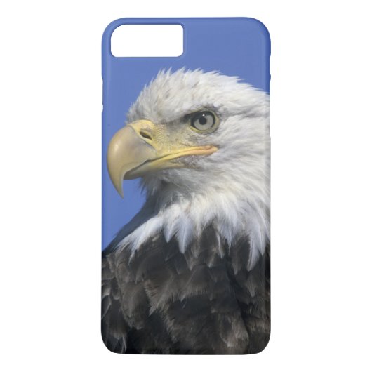 Coques Case-Mate iPhone Pygargue à tête blanche, (Haliaeetus leucocephalus (Dos)
