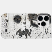 Coques Case-Mate iPhone Quaking Aspen Tree White Bark - photo de gros plan (Verso (horizontal))