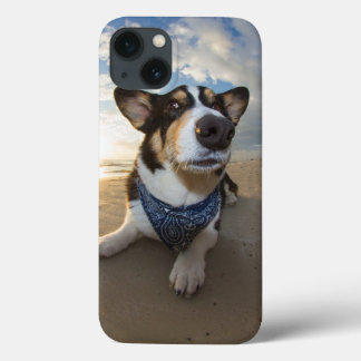 iPhone 13 Coque Quelqu'Un A-T-Il Dit Cookie ?