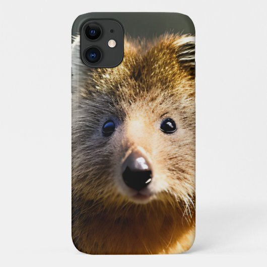 Coques Case-Mate iPhone Quintin Le Ginger Quokka, (Dos)