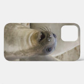 COQUES Case-Mate iPhone QUOI ? ? ? (Verso (horizontal))