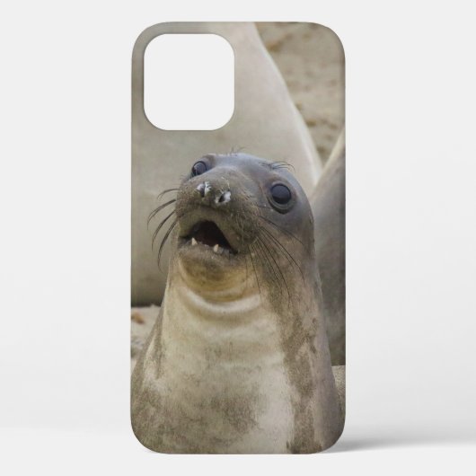 COQUES Case-Mate iPhone QUOI ? ? ? (Verso)