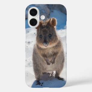 Coques iPhone 16 Quokka Happy Animal sur la plage Australie