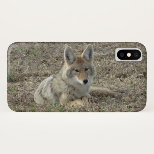 Coques Case-Mate iPhone R22 Coyote Couché (Dos (Horizontal))