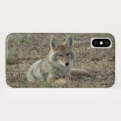 Coques Case-Mate iPhone R22 Coyote Laying (Dos (Horizontal))