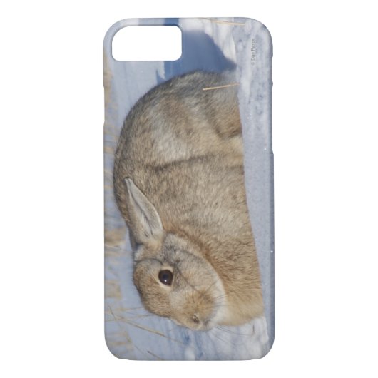 Coques Case-Mate iPhone Rabbit de coton R5 en neige (Dos)